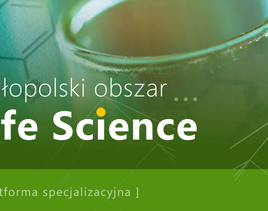 Jak działają przedsiębiorcy w sektorze zdrowa żywność? Poznaj najnowsze projekty realizowane w Małopolsce.