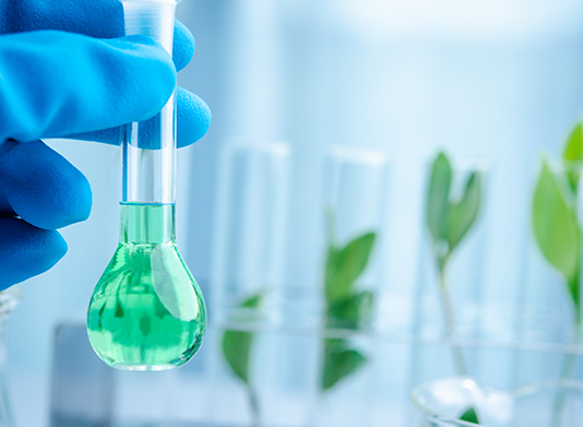 Bioinżynieria medyczna – drugie spotkanie nowej grupy współpracy