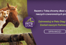 Rusza emisja akcji Pets Diag S.A. o wartości 1 mln zł PetsDiag