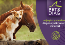 Pets Diag zebrał już niemal 200 tys. zł