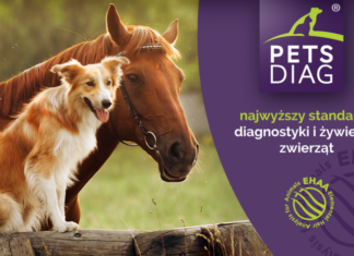 Pets Diag zebrał już niemal 200 tys. zł