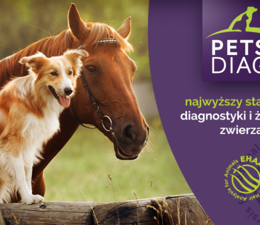 Pets Diag zebrał już niemal 200 tys. zł