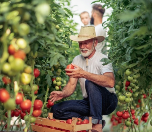 Nadchodzące wydarzenia w branży Healthy Food