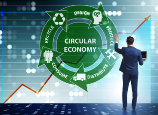 Pogłęb wiedzę o biogopodarce podczas 7th Summer School for PhD students