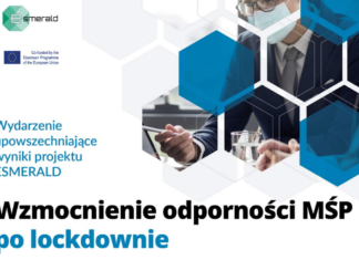 Jak wzmocnić odporność MŚP? – wyniki programu ESMERALD