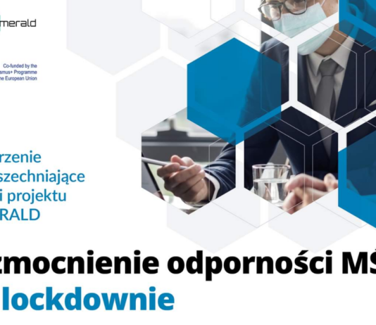 Jak wzmocnić odporność MŚP? – wyniki programu ESMERALD