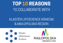 Why not cooperate with Partners from Małopolska? – find out 10 reasons why it’s worth starting!