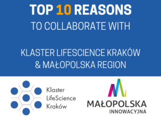 Why not cooperate with Partners from Małopolska? – find out 10 reasons why it’s worth starting!