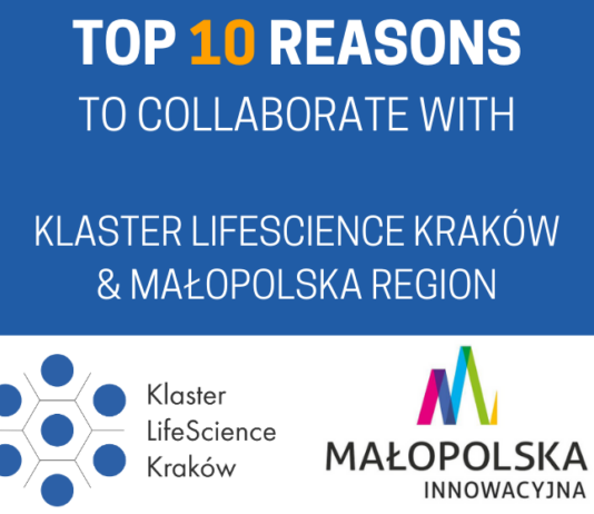 Why not cooperate with Partners from Małopolska? – find out 10 reasons why it’s worth starting!