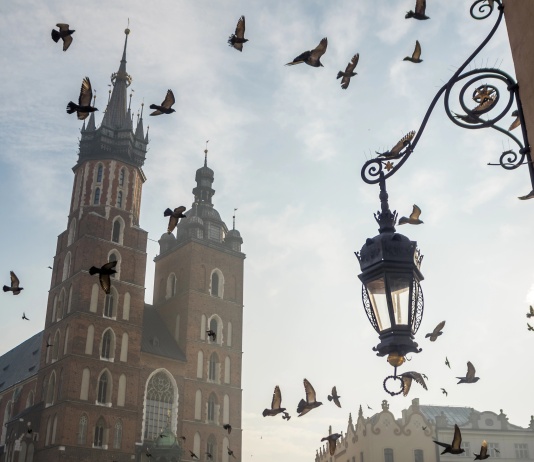 Kraków dla klimatu i środowiska