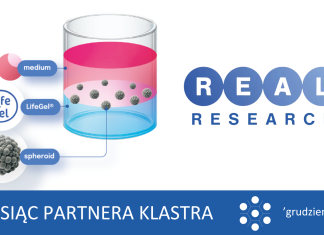 Dlaczego trójwymiarowe hodowle komórkowe są przyszłością badań onkologicznych? Wprowadzenie do hodowli 3D z wykorzystaniem hyrożelu LifeGel®