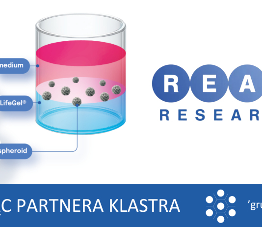 Dlaczego trójwymiarowe hodowle komórkowe są przyszłością badań onkologicznych? Wprowadzenie do hodowli 3D z wykorzystaniem hyrożelu LifeGel®