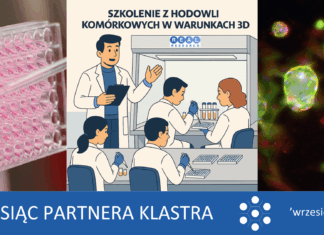 Szkolenie Hands-On Training in 3D Cell Culture – specjalna zniżka dla partnerów Klastra LifeScience Kraków!