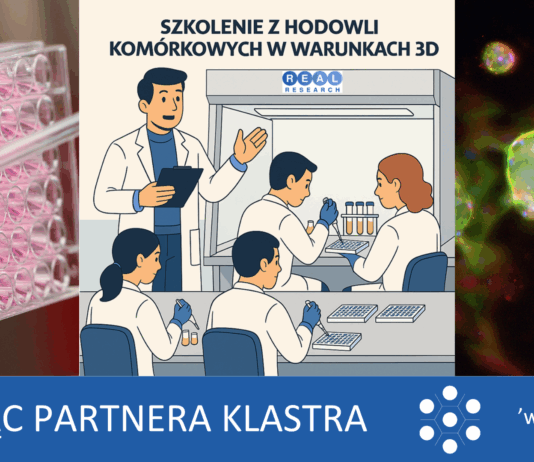 Szkolenie Hands-On Training in 3D Cell Culture – specjalna zniżka dla partnerów Klastra LifeScience Kraków!