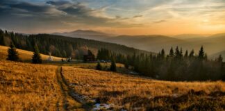 Bioróżnorodne pogranicze – zapraszamy na spotkanie informacyjne Programu Interreg Polska – Słowacja 2021–2027