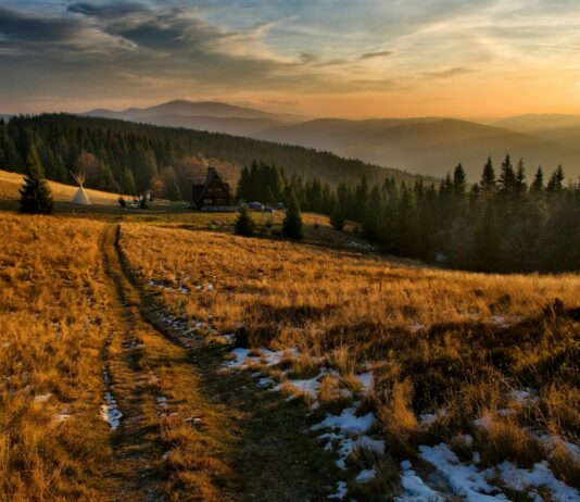 Bioróżnorodne pogranicze – zapraszamy na spotkanie informacyjne Programu Interreg Polska – Słowacja 2021–2027