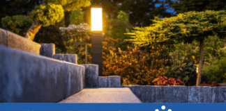 Innowacyjna technologia wspierająca walkę z emisją CO2