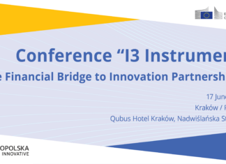 I3 Instrument – szansa dla MŚP na rozwój innowacji i międzynarodowych partnerstw