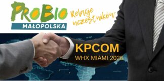 AI w opiece nad seniorami. KPCOM rozwija AmbientCare.ai na rynkach międzynarodowych